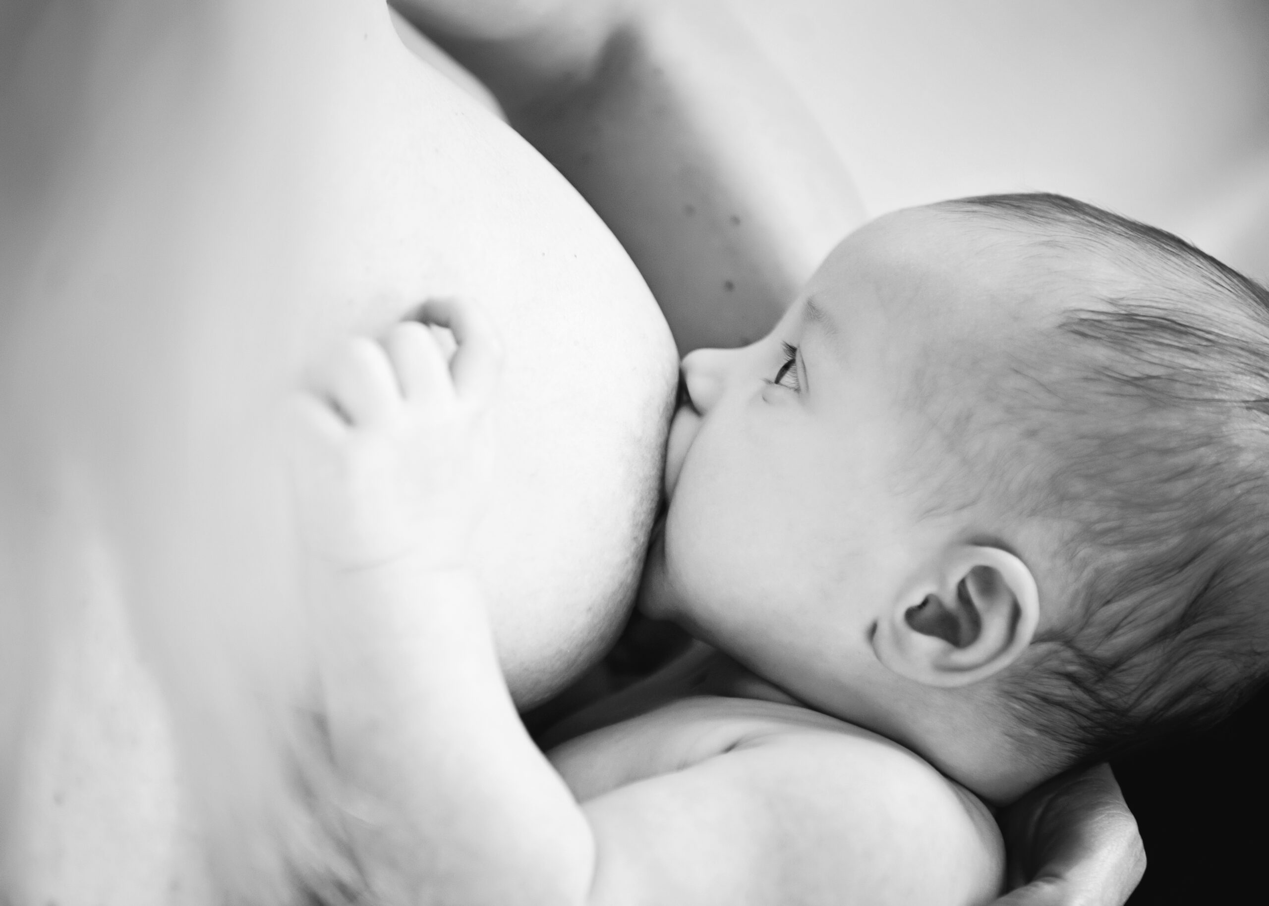 The Truth About Training & Breastfeeding